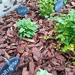 Apartment Garden