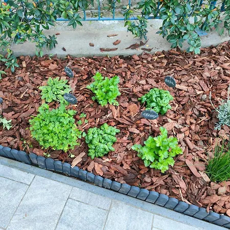 Garden *