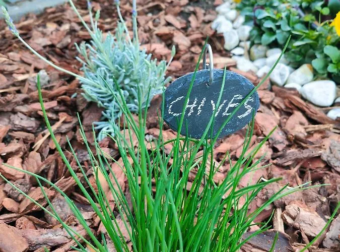 Garden Апартаменти